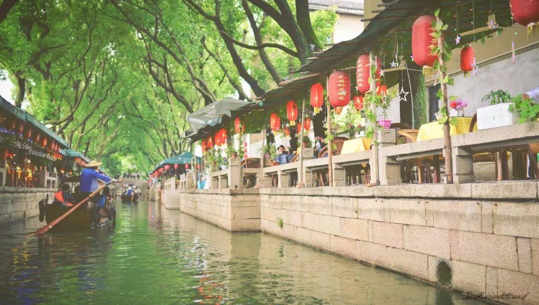 救援花栗鼠